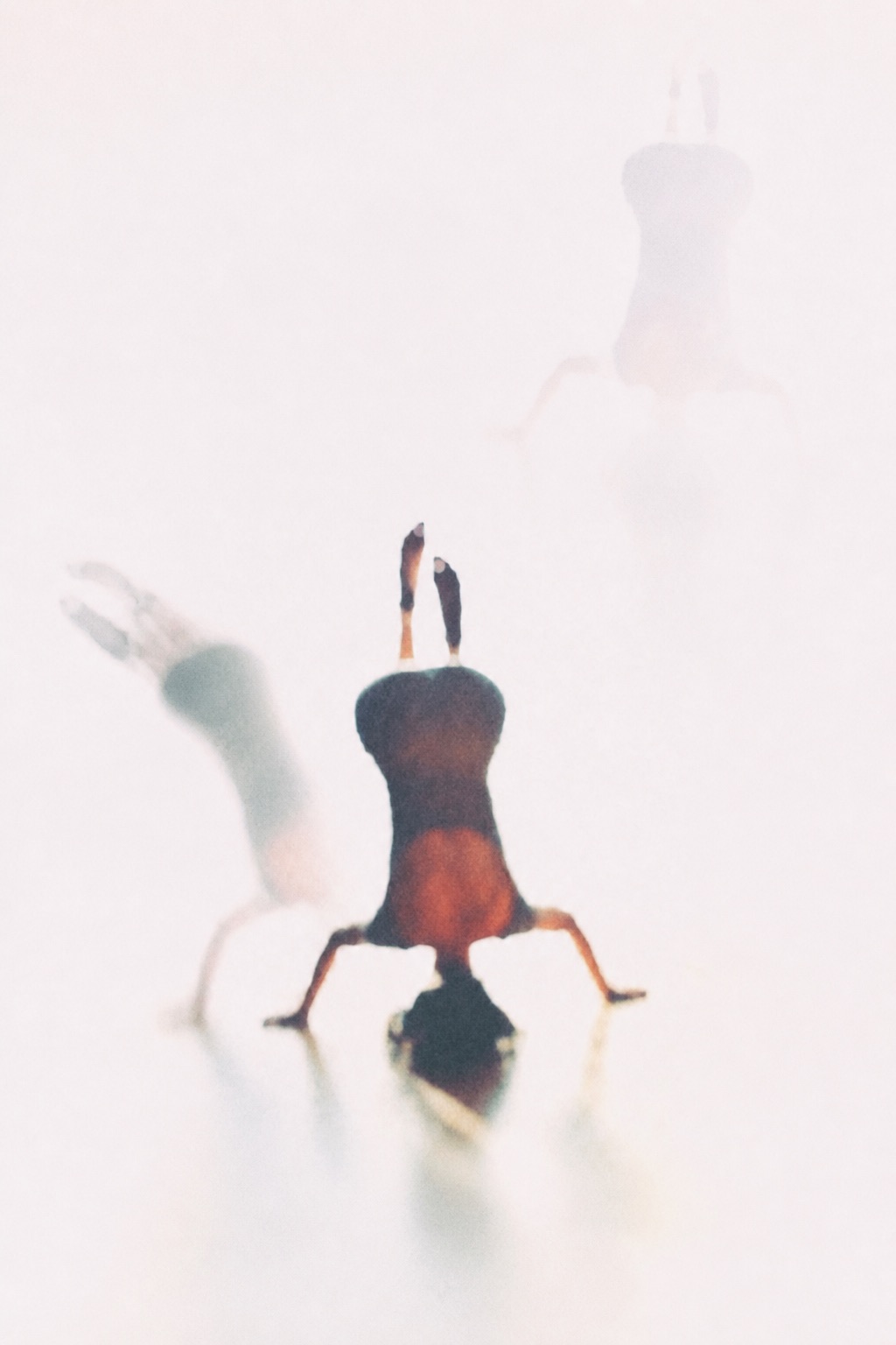 An inverted human figure held within a high-key field, with faint impressions suggesting changing states.